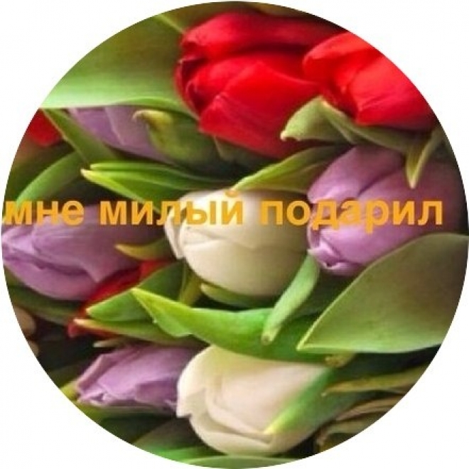 Сайт Murmanskvteme.ru запускает самый весенний фотоконкурс