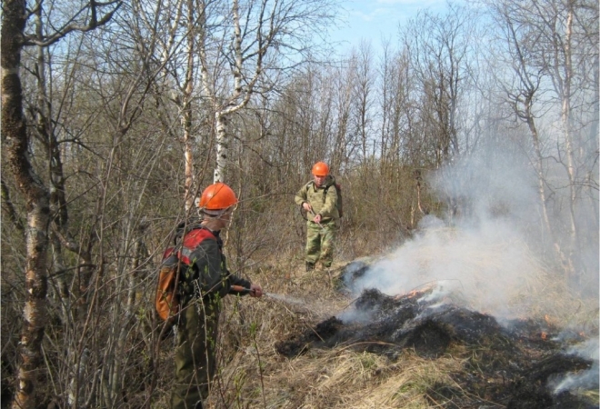 Мурманская область: первые лесные пожары