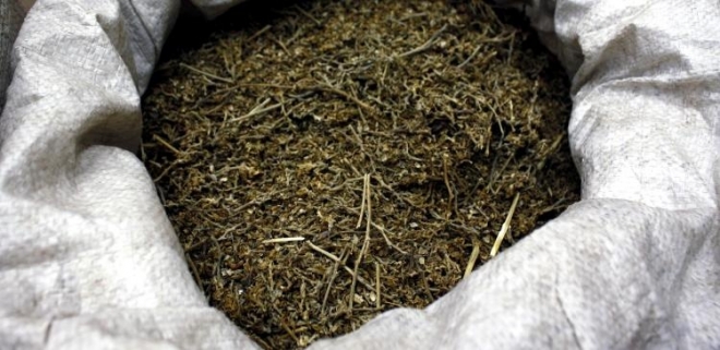 Мурманск: пять кило "травы" в тайниках