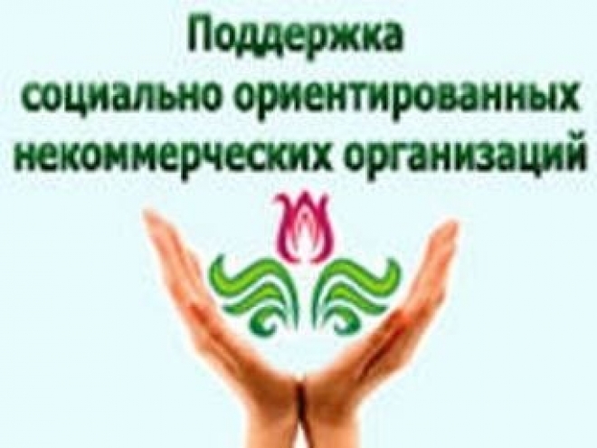 Некоммерческие организации поддержат финансово